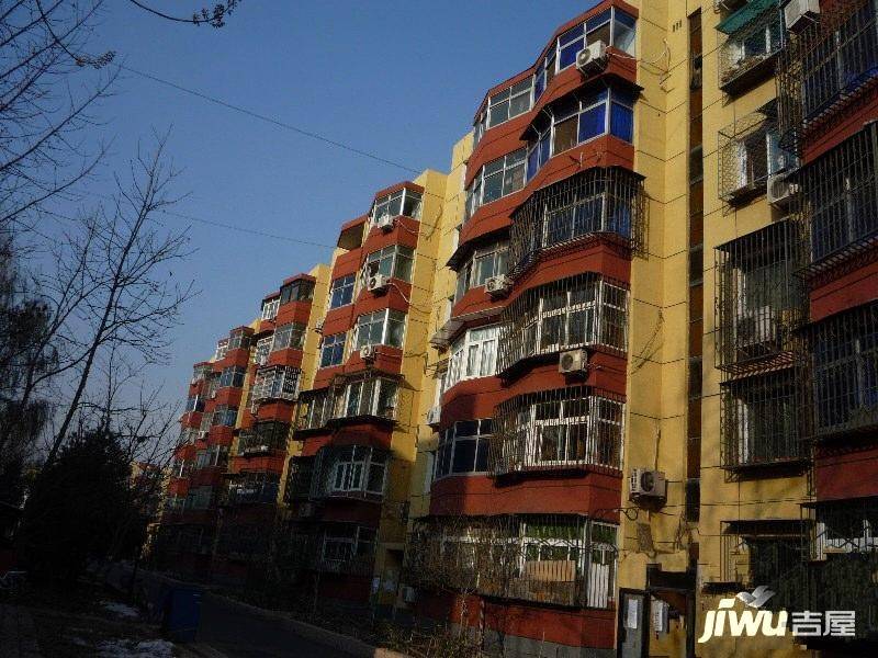 马连洼菊园实景图图片