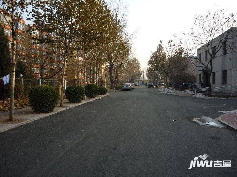 马连洼菊园实景图图片