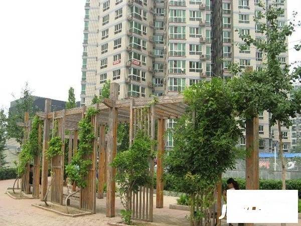 世纪城晨月园实景图图片