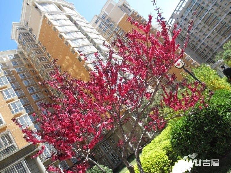 曙光花园望山园实景图图片