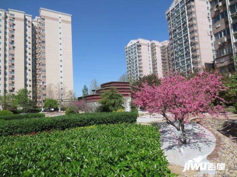 曙光花园望山园实景图图片