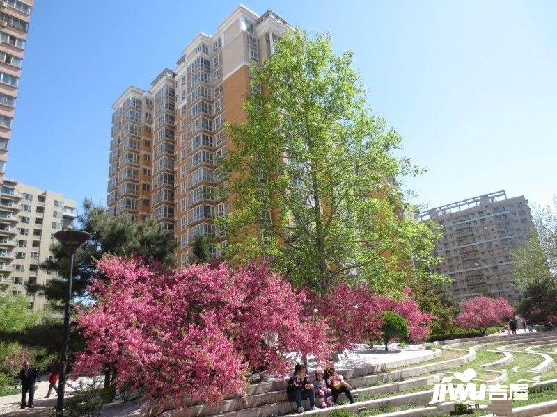 曙光花园望山园实景图图片