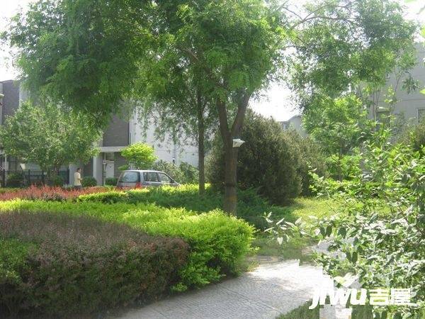 领秀硅谷实景图图片