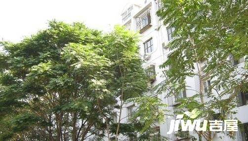 颐和园新建宫门21号院实景图图片