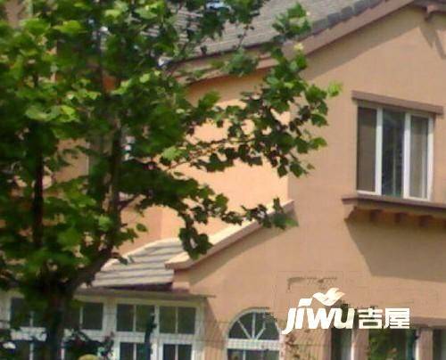亲爱的villa实景图图片