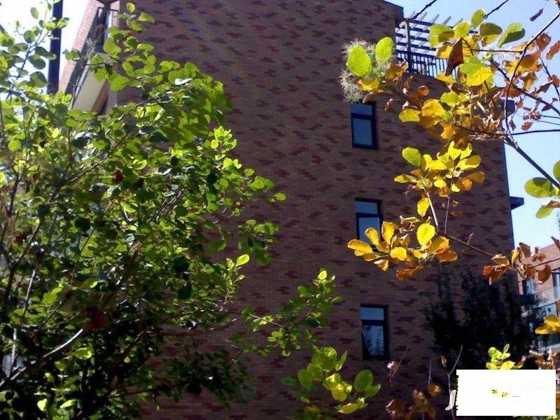 金地格林小镇别墅实景图图片