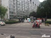 东晶国际
