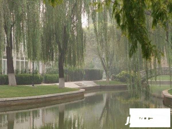 丽京花园公寓实景图图片
