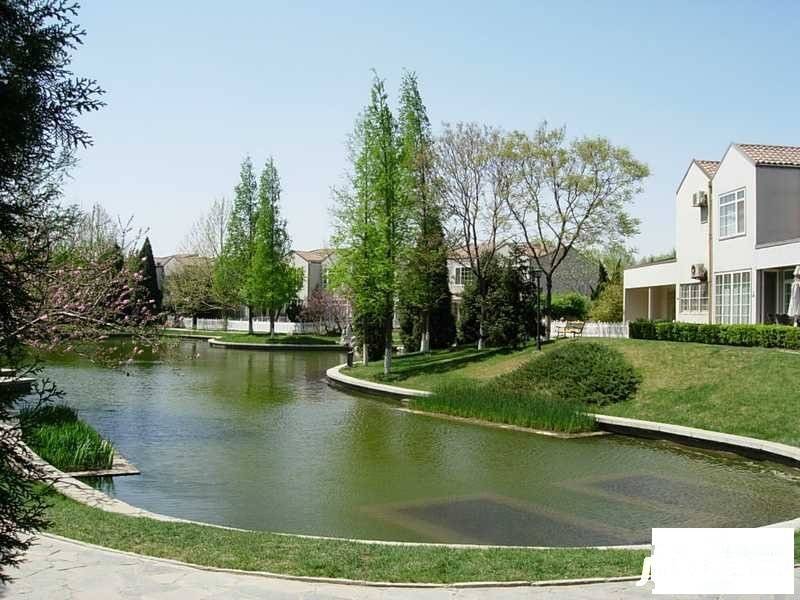 丽京花园公寓实景图图片