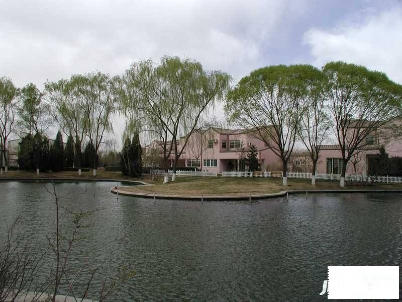 丽京花园公寓实景图图片