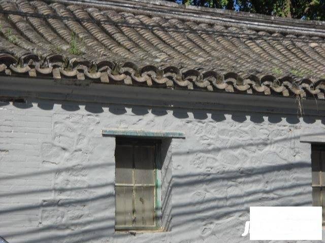 大有庄实景图图片