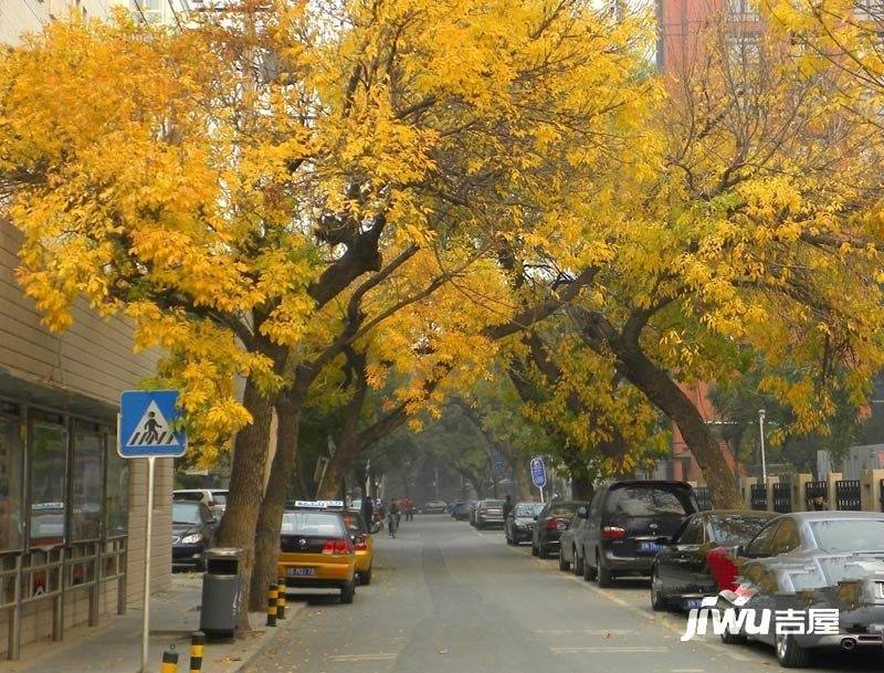 建邦·礼仕阁实景图图片