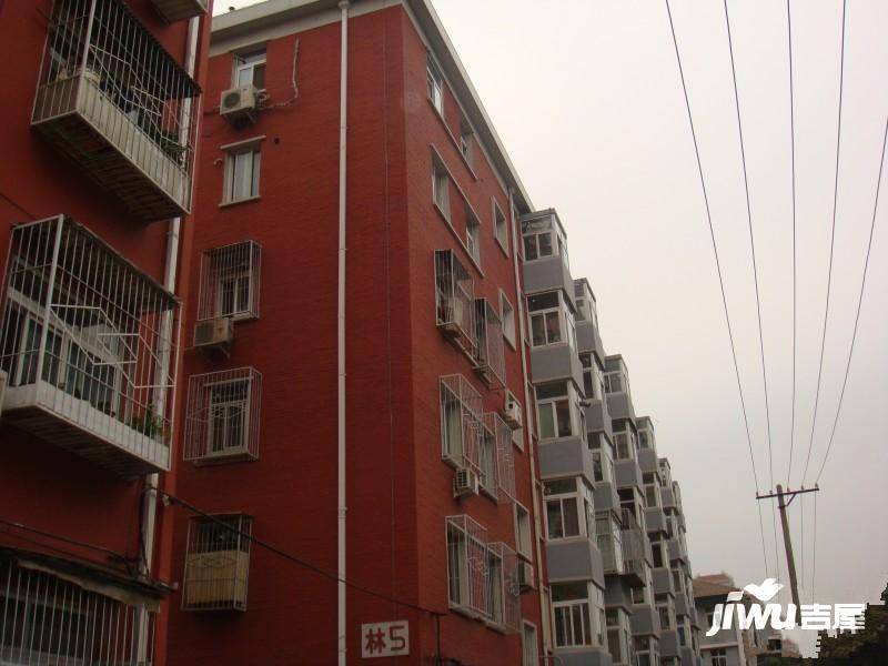交林夹道小区实景图图片