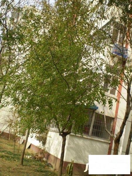 西洼地社区实景图图片