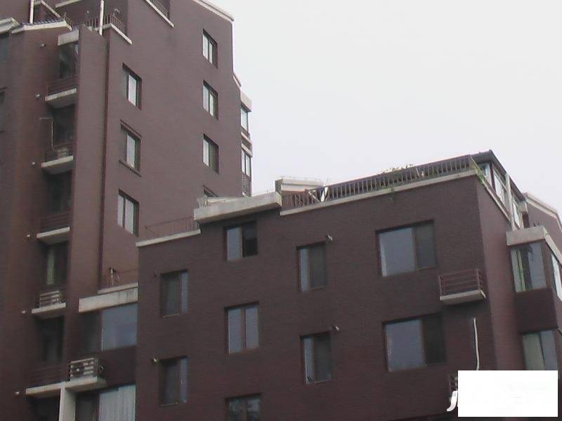 悦园实景图图片