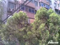 大柳树13号院