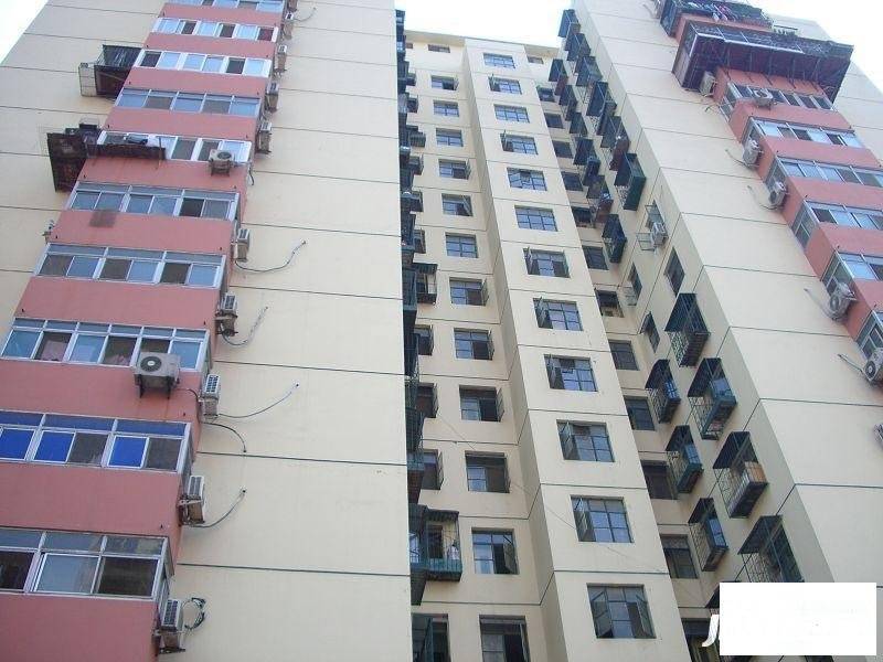 洋桥东里小区实景图图片