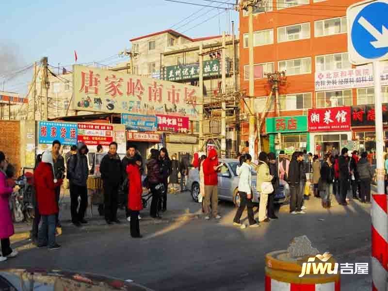 唐家岭实景图图片