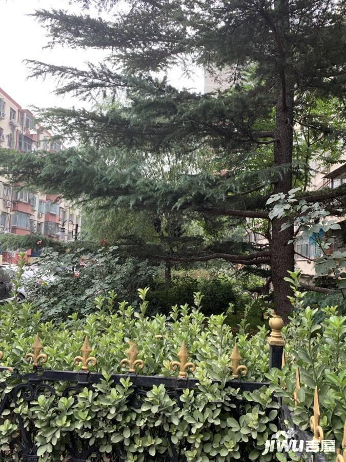 光辉南里实景图图片