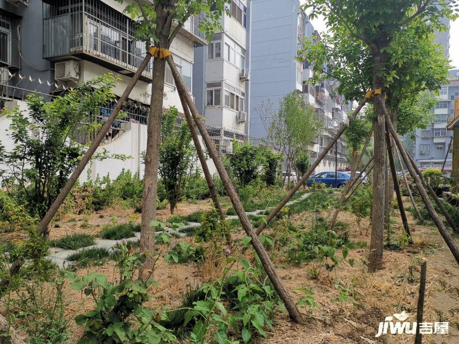 鲁谷村实景图图片