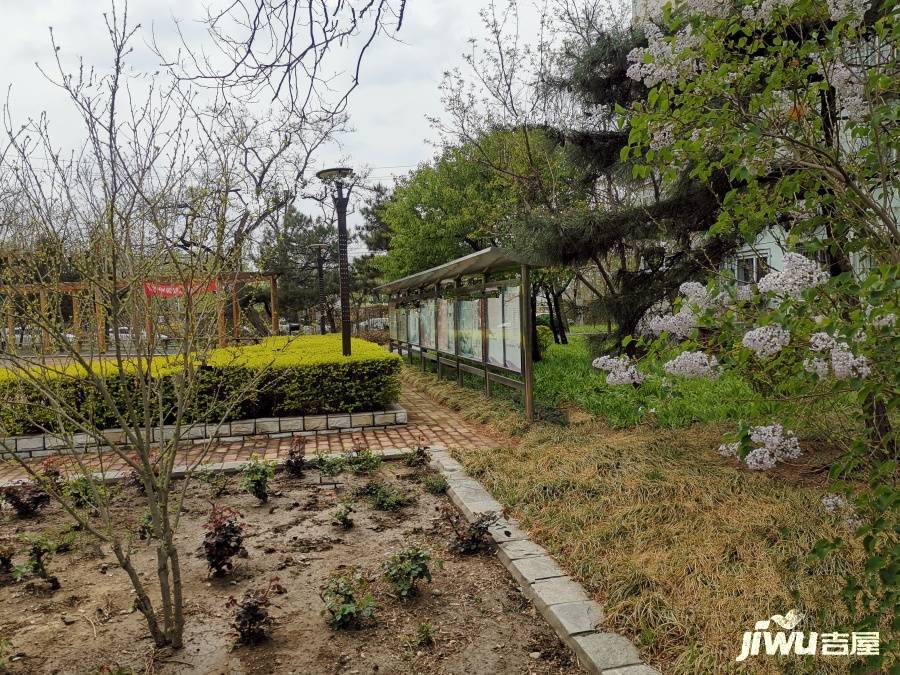 芙蓉里实景图图片