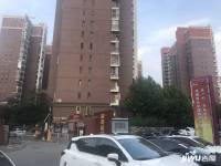 金汉绿港实景图图片