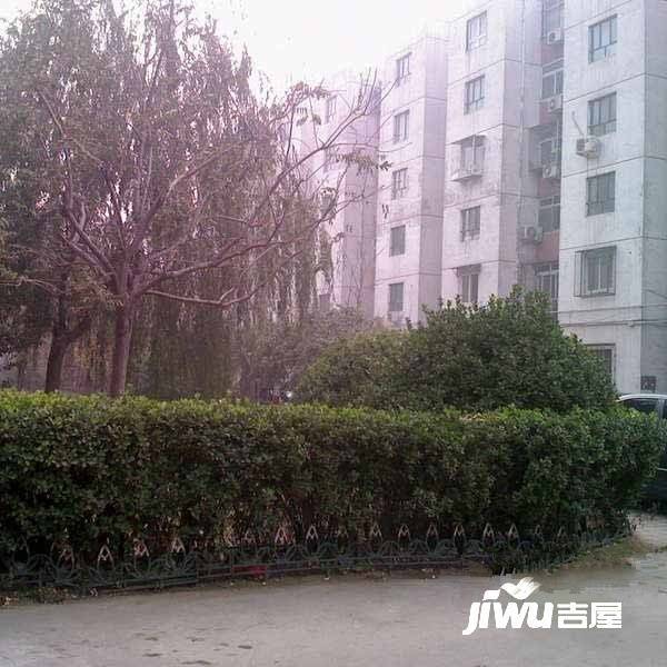 顺八条实景图图片