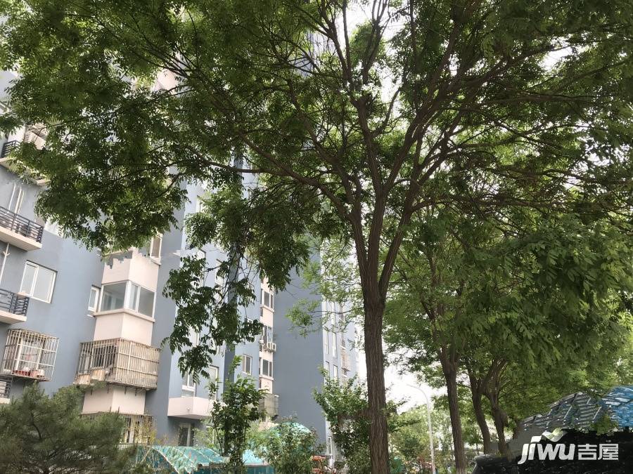 金家村283号实景图图片