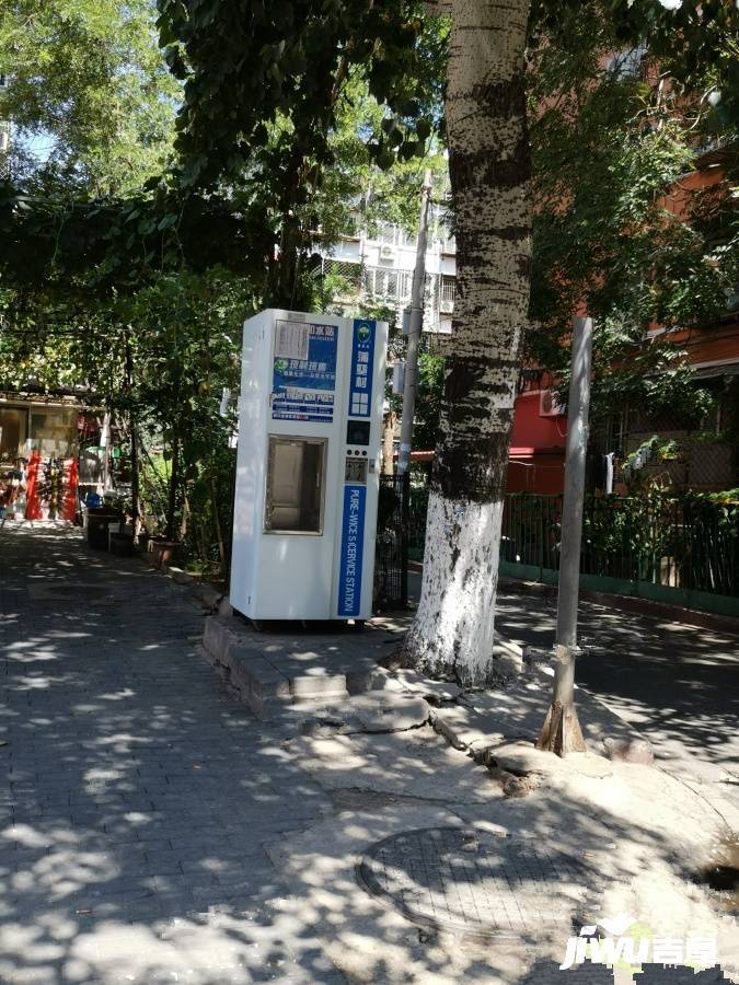 西罗园四区实景图图片
