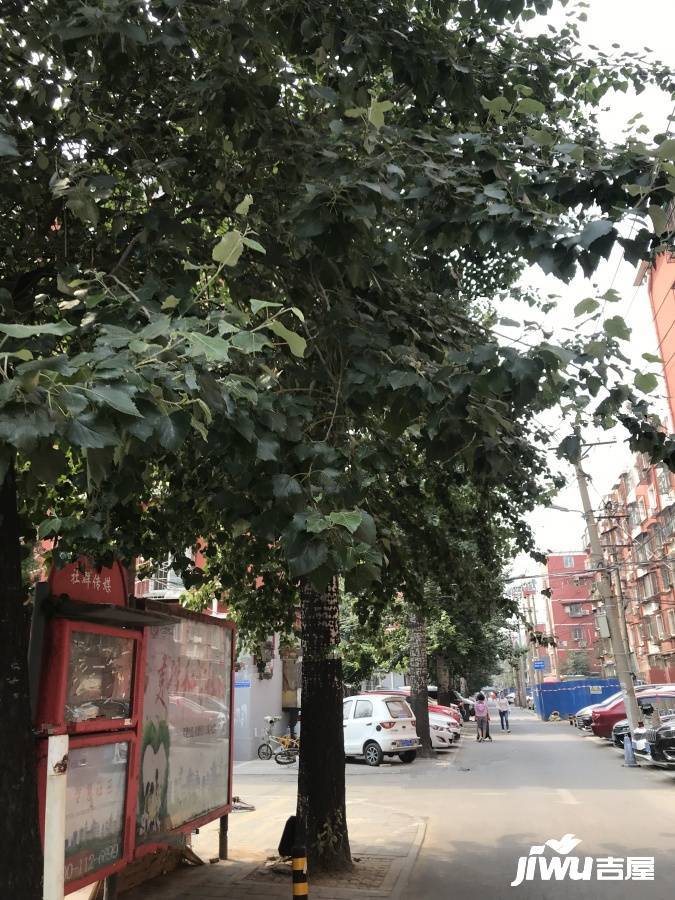 东铁营横一条实景图图片