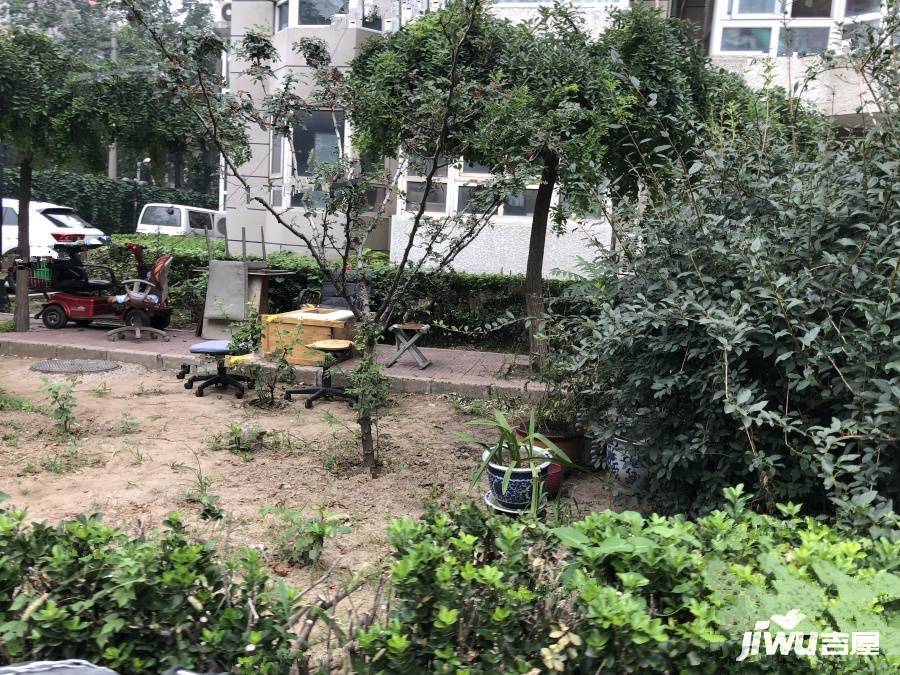 嘉丽园实景图图片