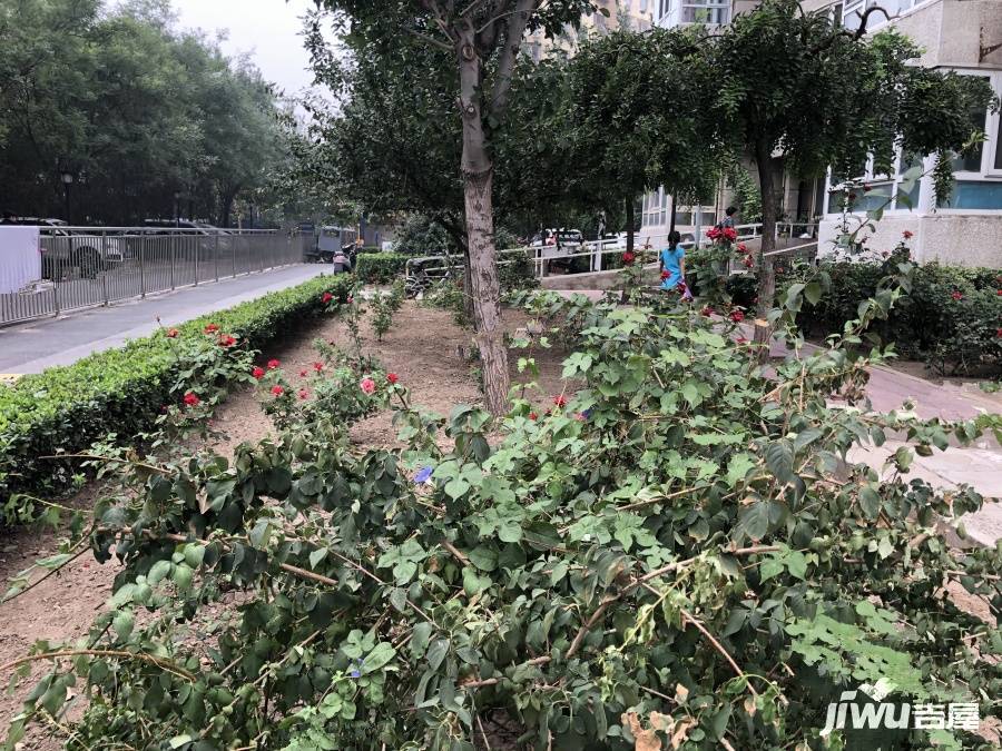 嘉丽园实景图图片