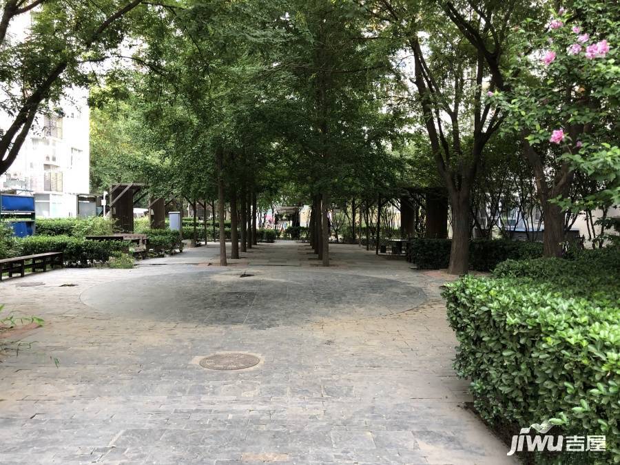 星河城夏季星空实景图图片