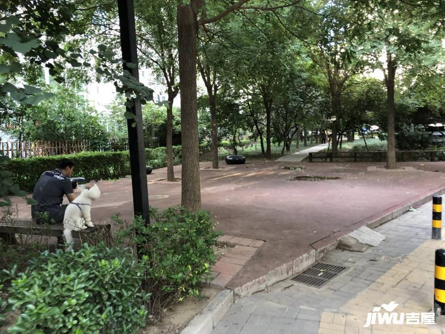 星河城夏季星空实景图图片