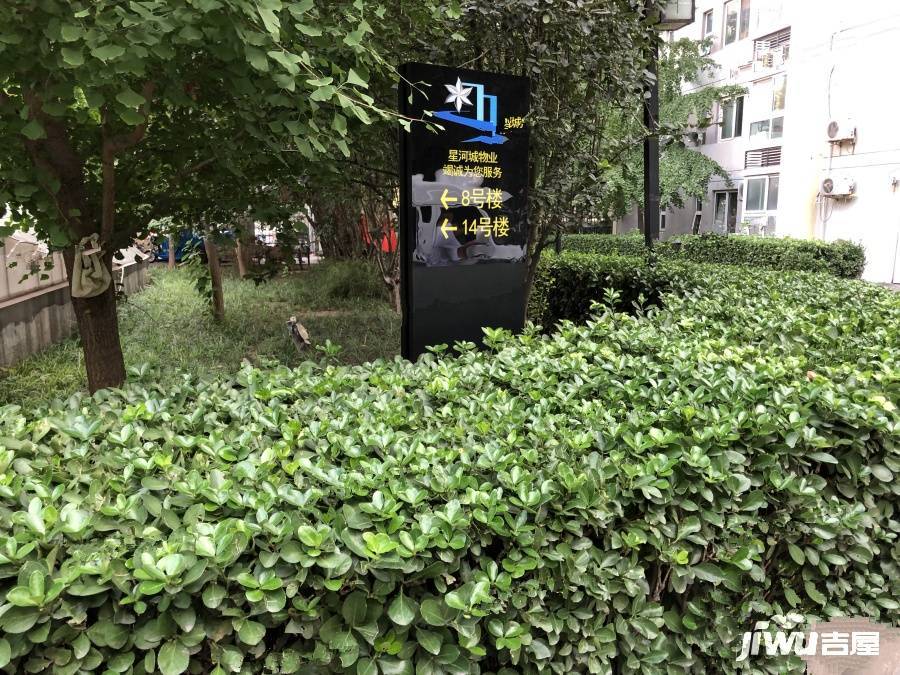 星河城夏季星空实景图图片