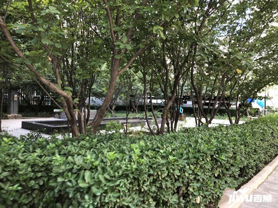 星河城夏季星空实景图图片