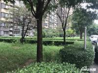 南庭新苑实景图7