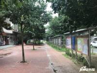 南庭新苑实景图7