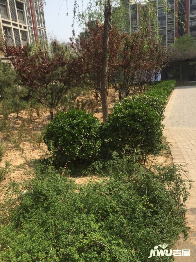 广安康馨家园实景图图片