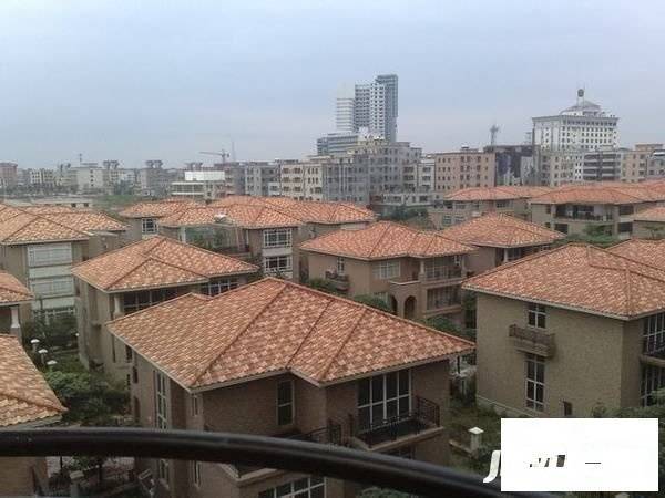粤港花园别墅实景图图片