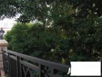 嘉多利山花园别墅实景图图片
