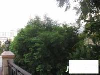 嘉多利山花园别墅实景图图片