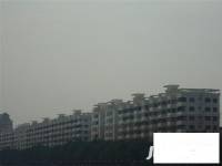 河滨花园实景图9