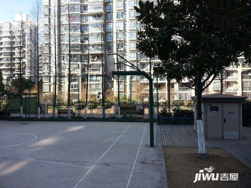 玫瑰99实景图图片