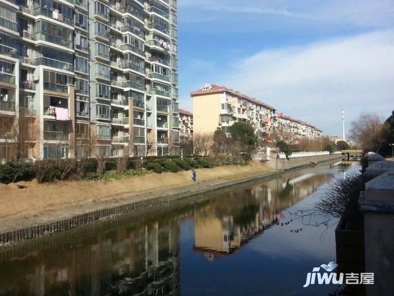 玫瑰99实景图图片