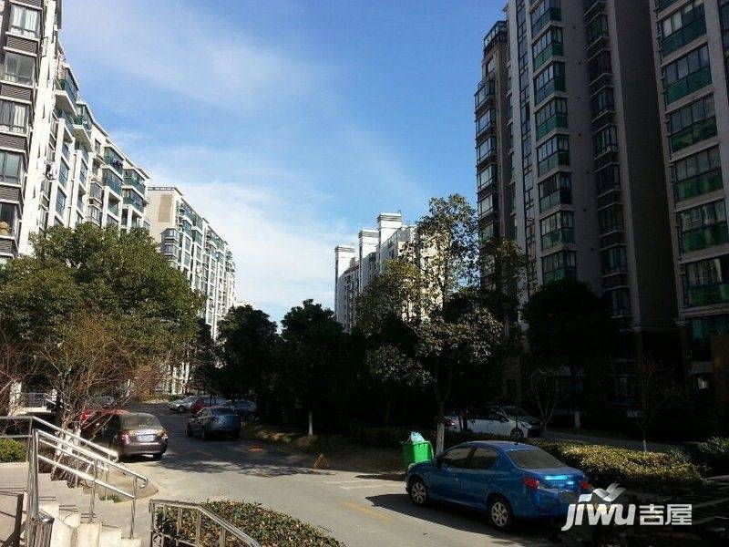 玫瑰99实景图图片