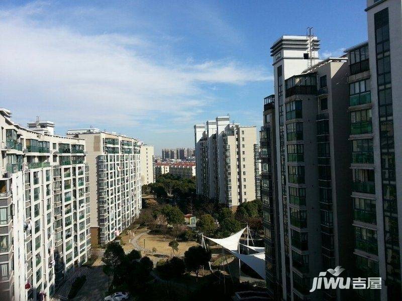 玫瑰99实景图图片