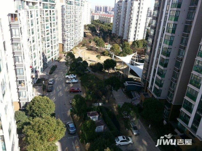 玫瑰99实景图图片