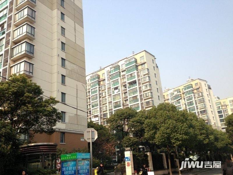 玫瑰99实景图图片