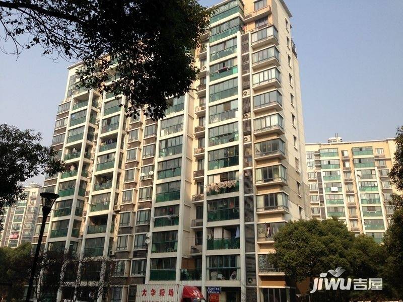 玫瑰99实景图图片